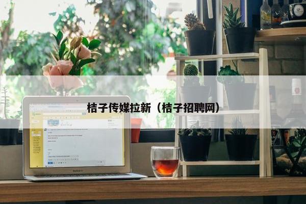 桔子传媒拉新（桔子招聘网）