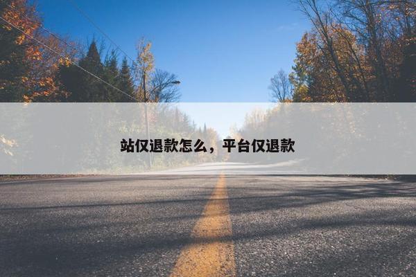 站仅退款怎么，平台仅退款