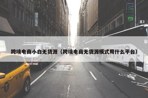 跨境电商小白无货源（跨境电商无货源模式用什么平台）