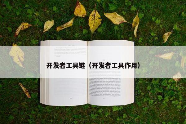 开发者工具链（开发者工具作用）