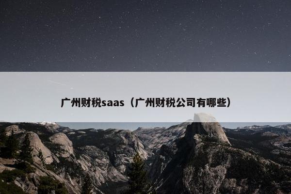 广州财税saas（广州财税公司有哪些）