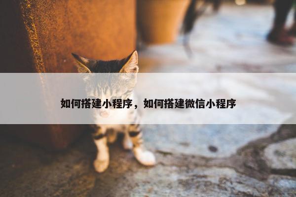 如何搭建小程序，如何搭建微信小程序