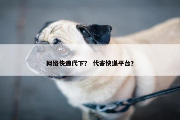 网络快递代下？ 代寄快递平台？