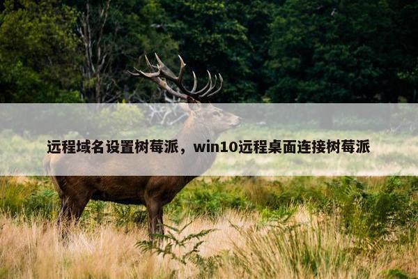 远程域名设置树莓派，win10远程桌面连接树莓派