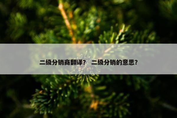 二级分销商翻译？ 二级分销的意思？