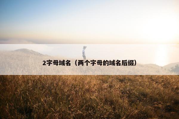 2字母域名（两个字母的域名后缀）