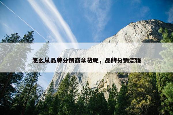 怎么从品牌分销商拿货呢，品牌分销流程