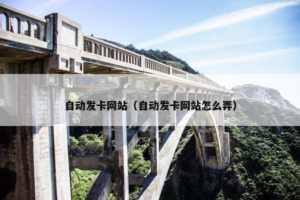 自动发卡网站（自动发卡网站怎么弄）