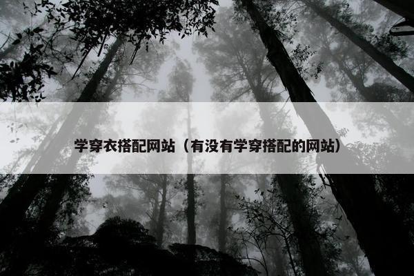学穿衣搭配网站（有没有学穿搭配的网站）