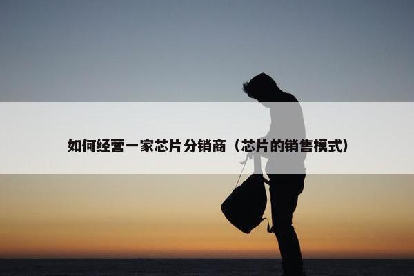 如何经营一家芯片分销商（芯片的销售模式）