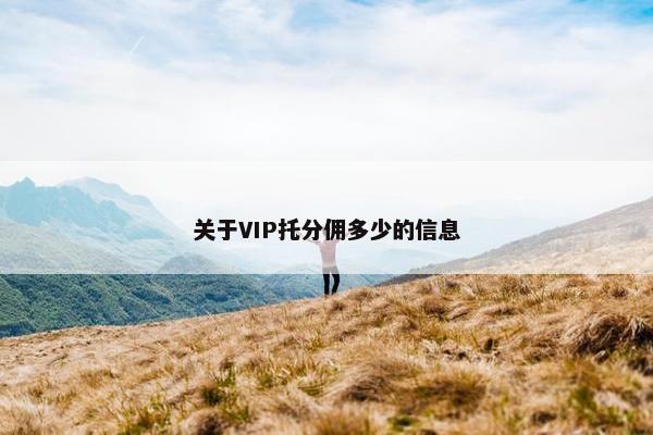 关于VIP托分佣多少的信息