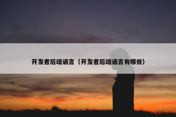 开发者后端语言（开发者后端语言有哪些）