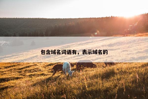 包含域名词语有，表示域名的