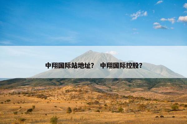 中翔国际站地址？ 中翔国际控股？