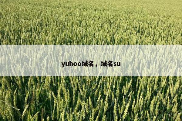yuhoo域名，域名su