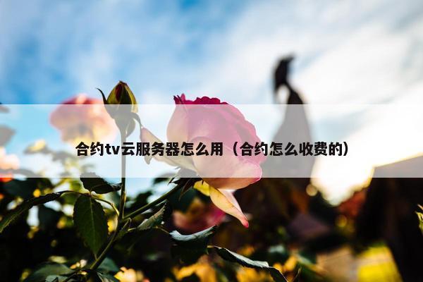 合约tv云服务器怎么用（合约怎么收费的）