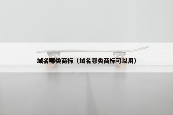 域名哪类商标（域名哪类商标可以用）