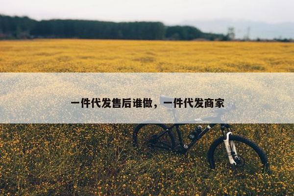 一件代发售后谁做，一件代发商家