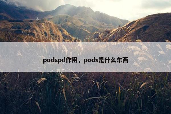 podspd作用，pods是什么东西