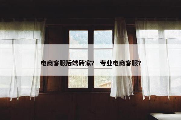 电商客服后端砖家？ 专业电商客服？
