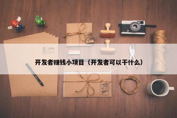 开发者赚钱小项目（开发者可以干什么）