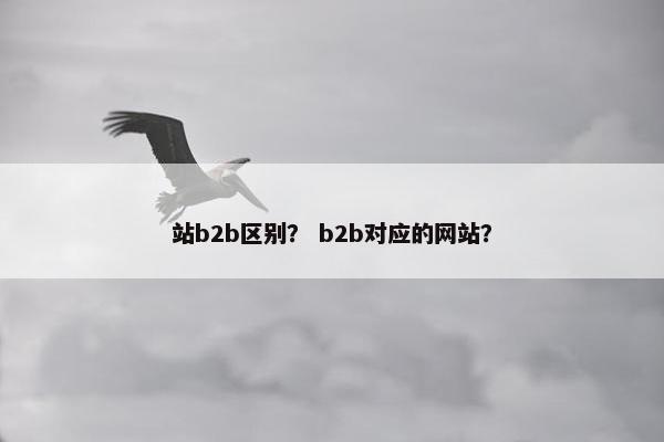 站b2b区别？ b2b对应的网站？