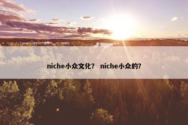 niche小众文化？ niche小众的？