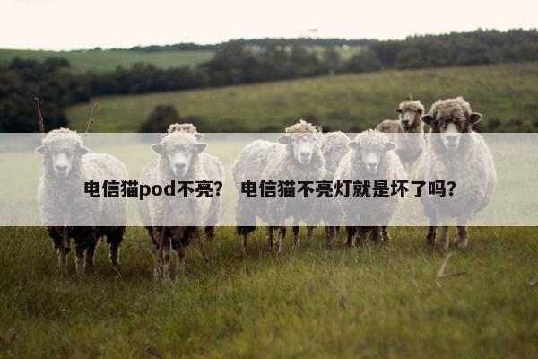 电信猫pod不亮？ 电信猫不亮灯就是坏了吗？
