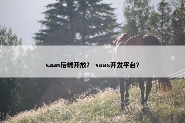 saas后端开放？ saas开发平台？