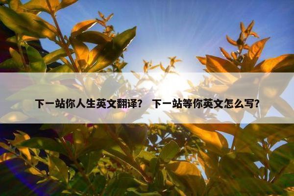 下一站你人生英文翻译？ 下一站等你英文怎么写？