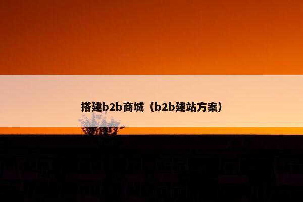 搭建b2b商城（b2b建站方案）
