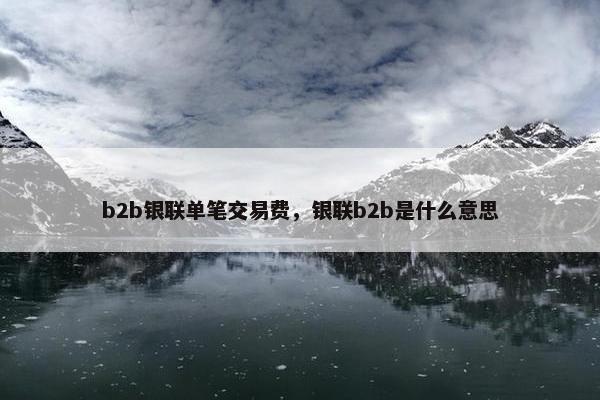 b2b银联单笔交易费，银联b2b是什么意思