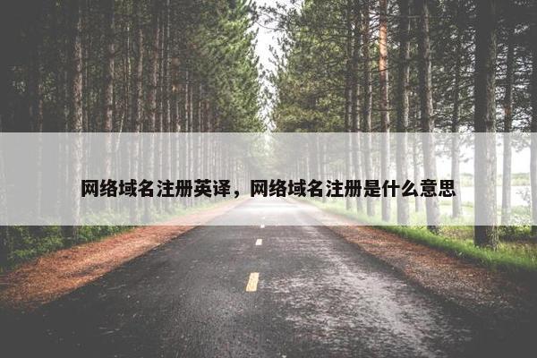 网络域名注册英译，网络域名注册是什么意思