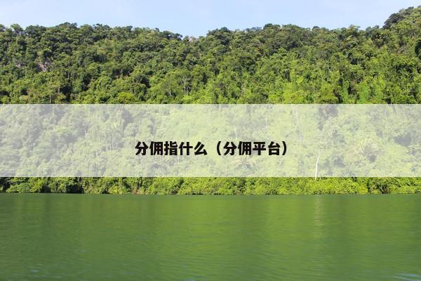 分佣指什么（分佣平台）