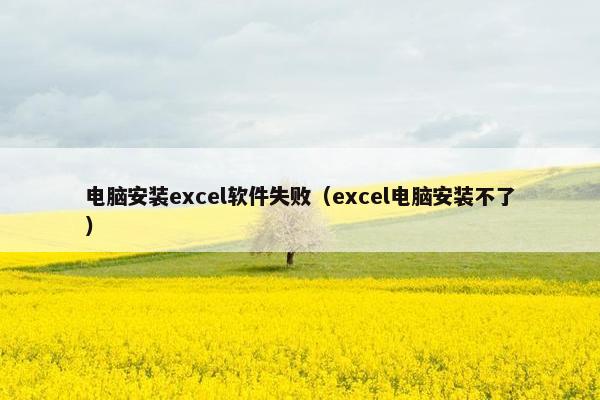 电脑安装excel软件失败（excel电脑安装不了）