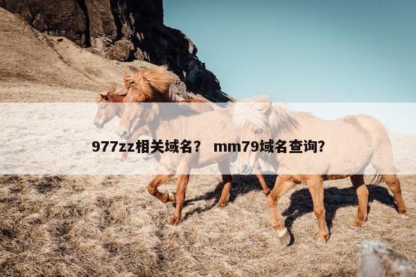 977zz相关域名？ mm79域名查询？