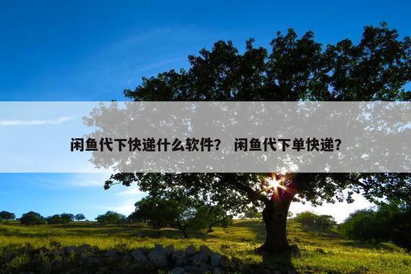 闲鱼代下快递什么软件？ 闲鱼代下单快递？
