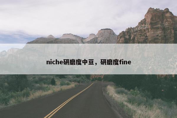 niche研磨度中豆，研磨度fine
