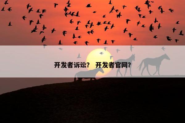 开发者诉讼？ 开发者官网？