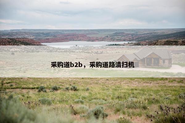 采购道b2b，采购道路清扫机
