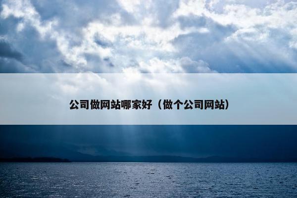 公司做网站哪家好（做个公司网站）