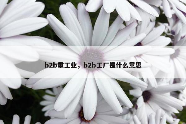 b2b重工业，b2b工厂是什么意思