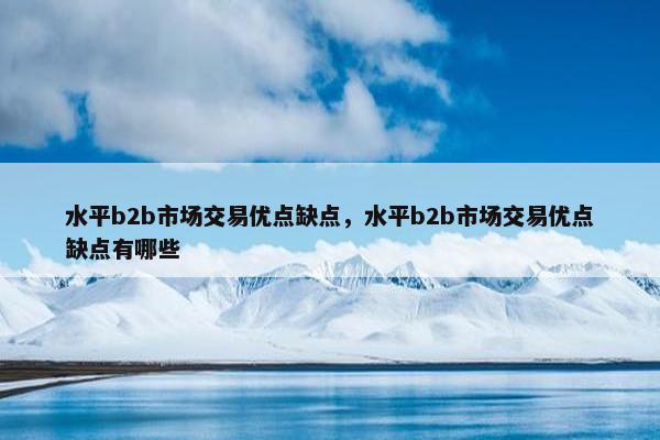 水平b2b市场交易优点缺点，水平b2b市场交易优点缺点有哪些
