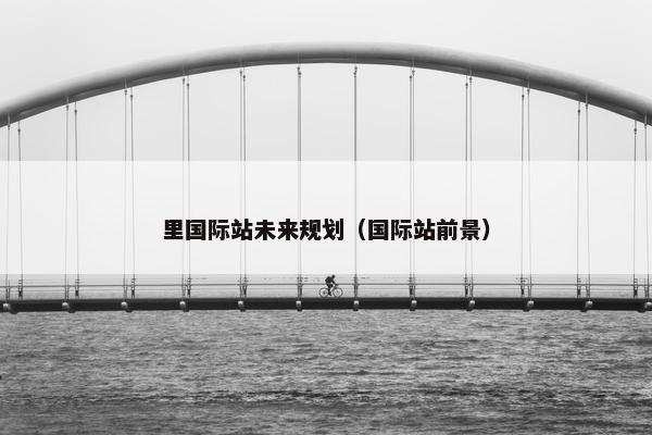 里国际站未来规划（国际站前景）