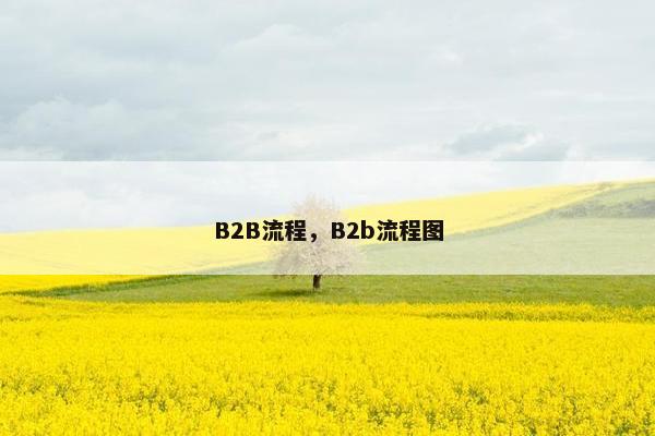 B2B流程，B2b流程图