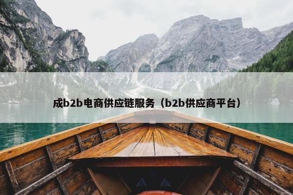 成b2b电商供应链服务（b2b供应商平台）
