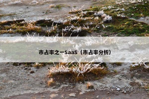 市占率之一SaaS（市占率分析）