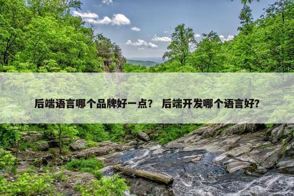 后端语言哪个品牌好一点？ 后端开发哪个语言好？