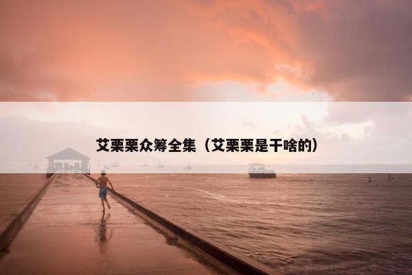 艾栗栗众筹全集（艾栗栗是干啥的）