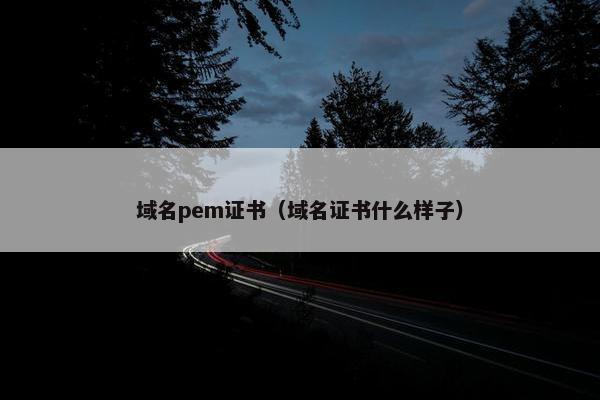 域名pem证书（域名证书什么样子）